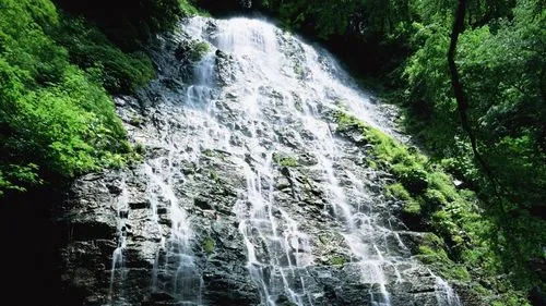 高标准数字化
